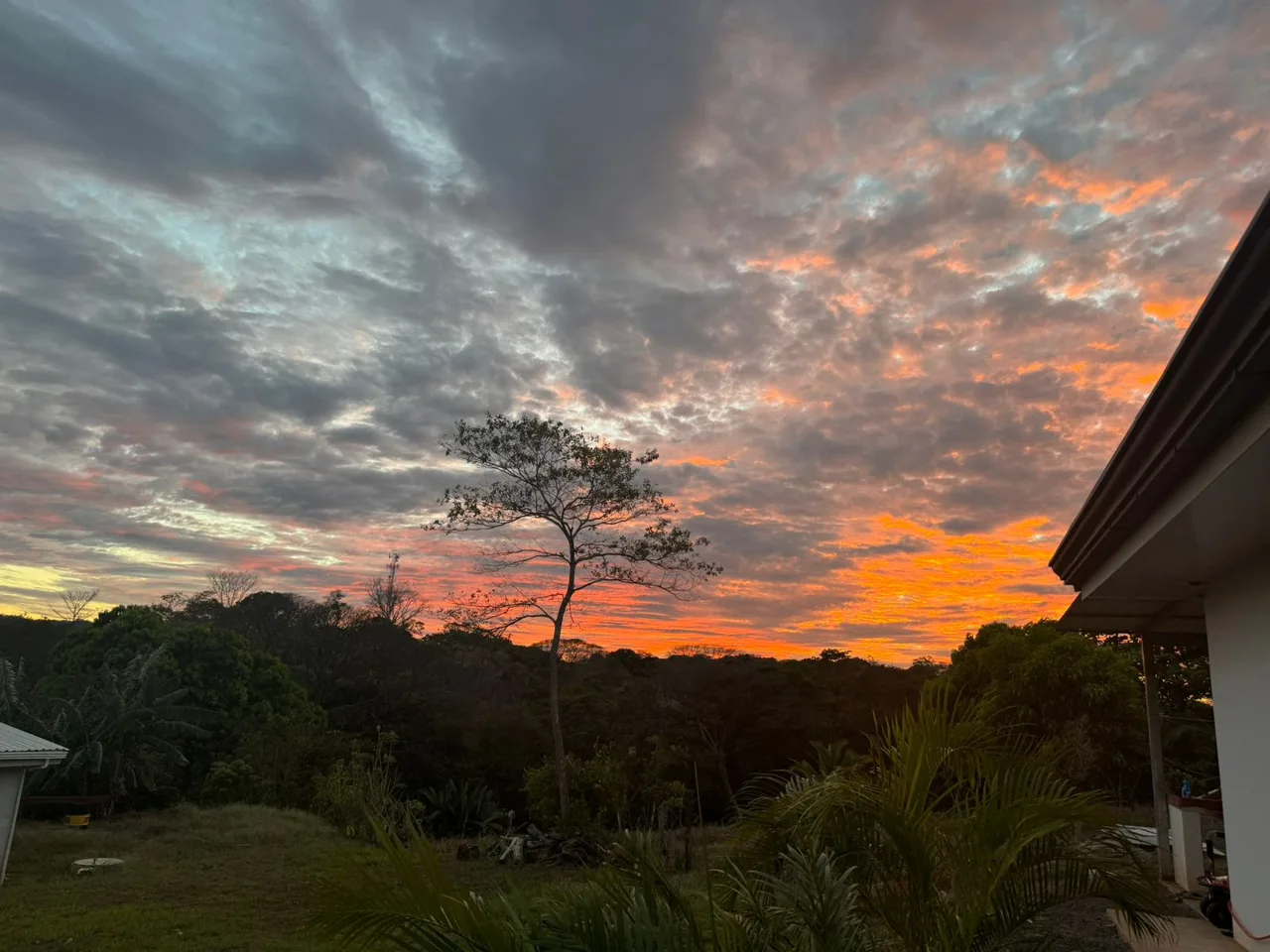 Beautiful Home for Sale in Turrubares — photo 5