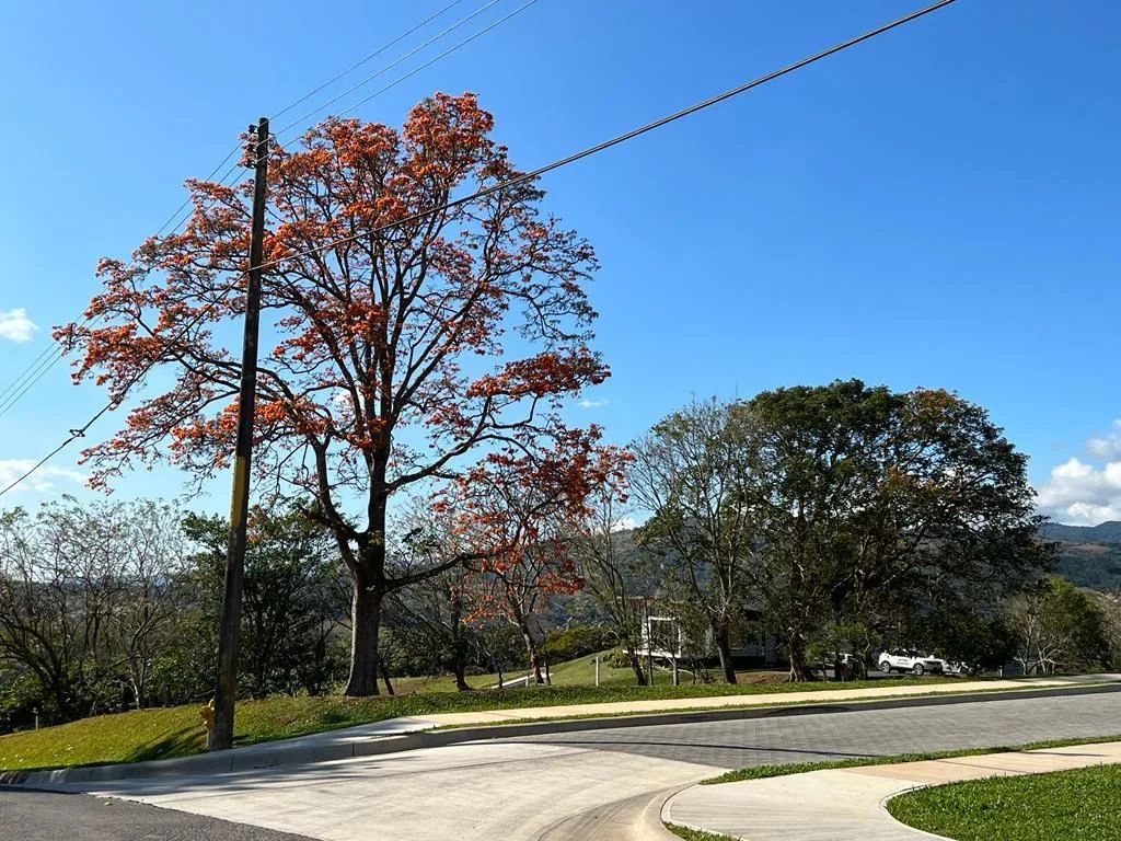 FOR SALE! Ocean view 1.2 Acre lots in San Ramón, Alajuela
