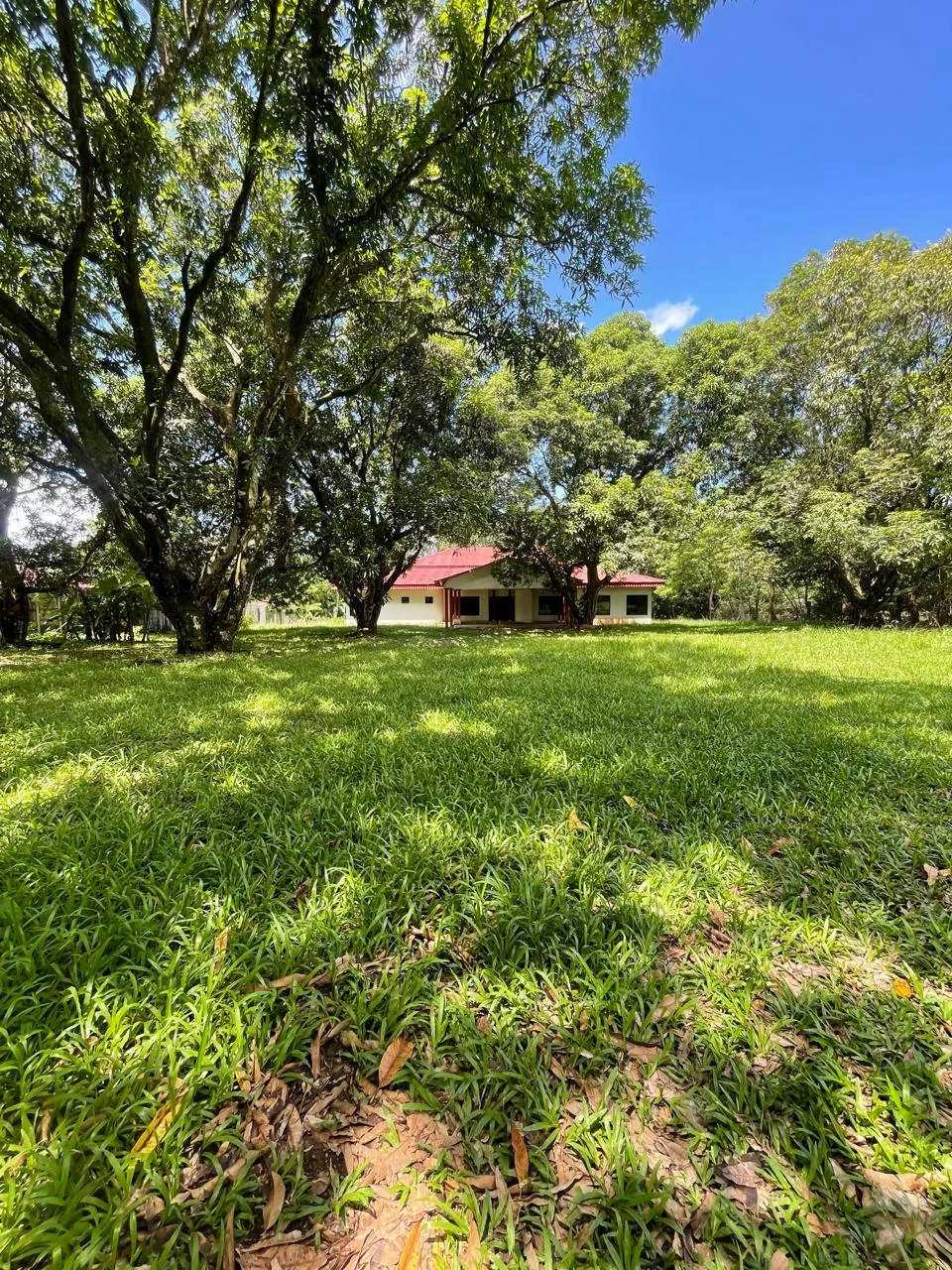 For Sale: Beautiful Property with Residential or Commercial Land Use – Ideal for Living or Developing a Boutique Hotel Project