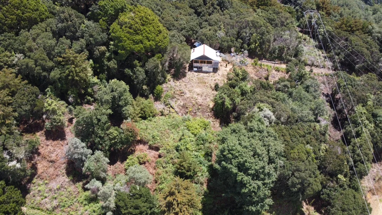 Beautiful Cabin For Sale In The Heart Of Primary Forest With Stunning Ocean Views In Perez Zeledon