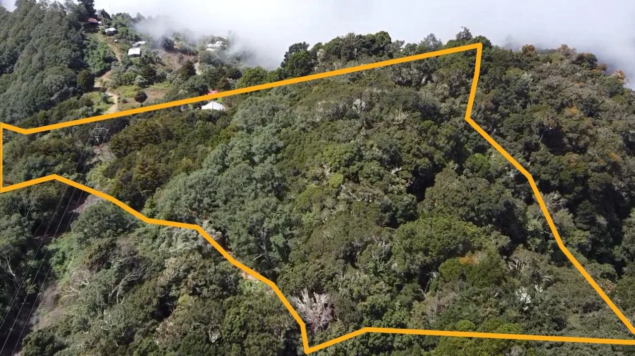 Beautiful Cabin For Sale In The Heart Of Primary Forest With Stunning Ocean Views In Perez Zeledon — photo 2