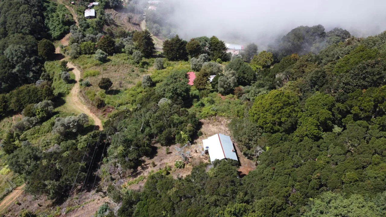 Beautiful Cabin For Sale In The Heart Of Primary Forest With Stunning Ocean Views In Perez Zeledon — photo 3
