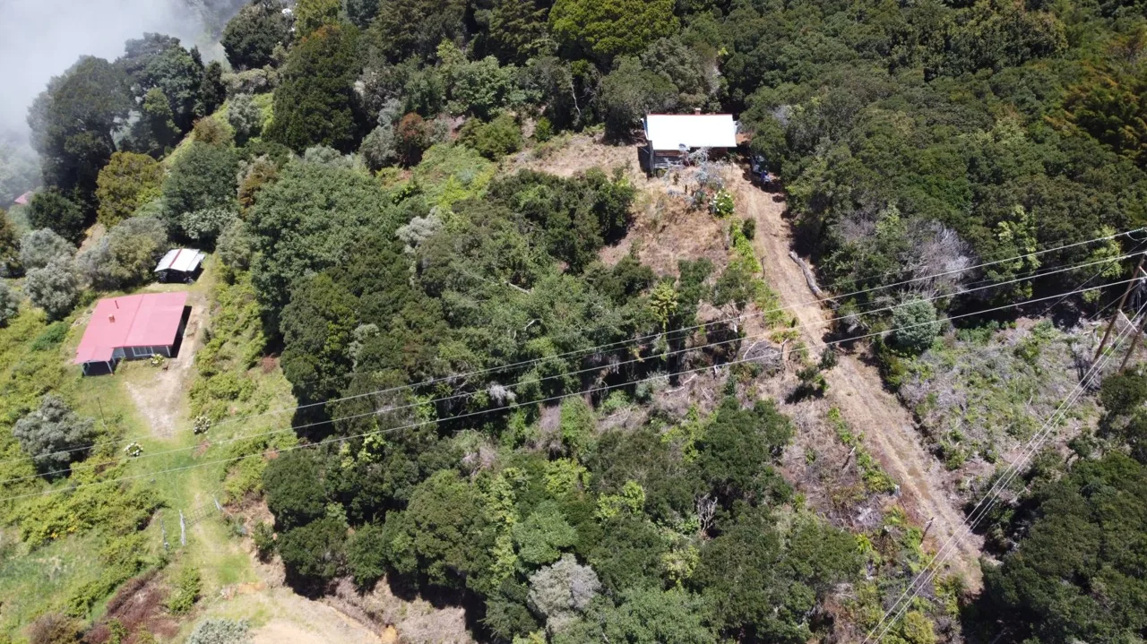 Beautiful Cabin For Sale In The Heart Of Primary Forest With Stunning Ocean Views In Perez Zeledon — photo 4