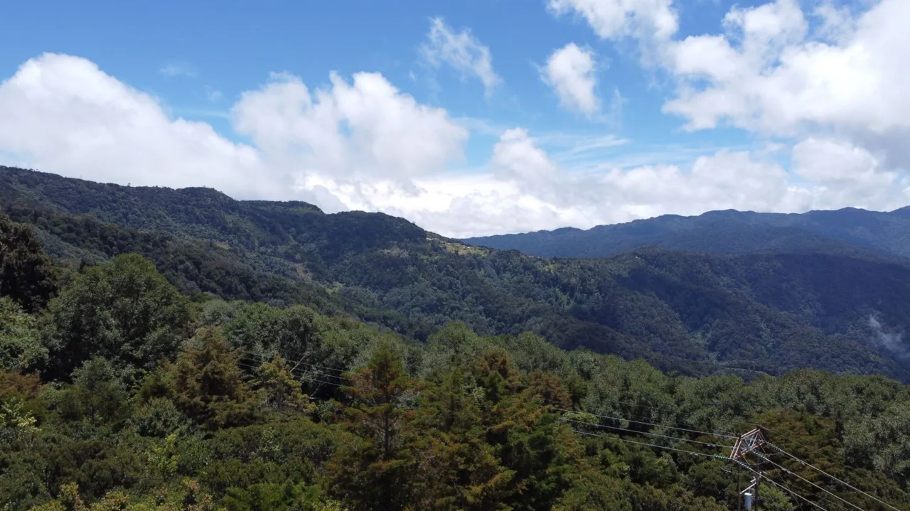 Beautiful Cabin For Sale In The Heart Of Primary Forest With Stunning Ocean Views In Perez Zeledon — photo 5