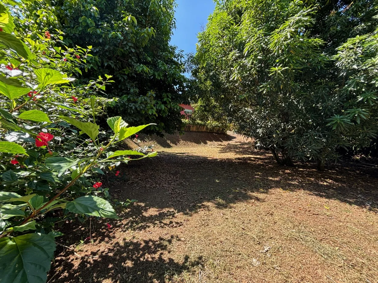 Very private and safe lot 3 minutes from Atenas Center - Barrio Jesus, Atenas, Alajuela