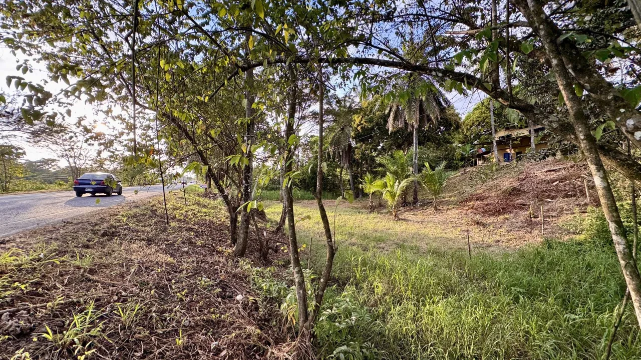 Strategically located land for sale.