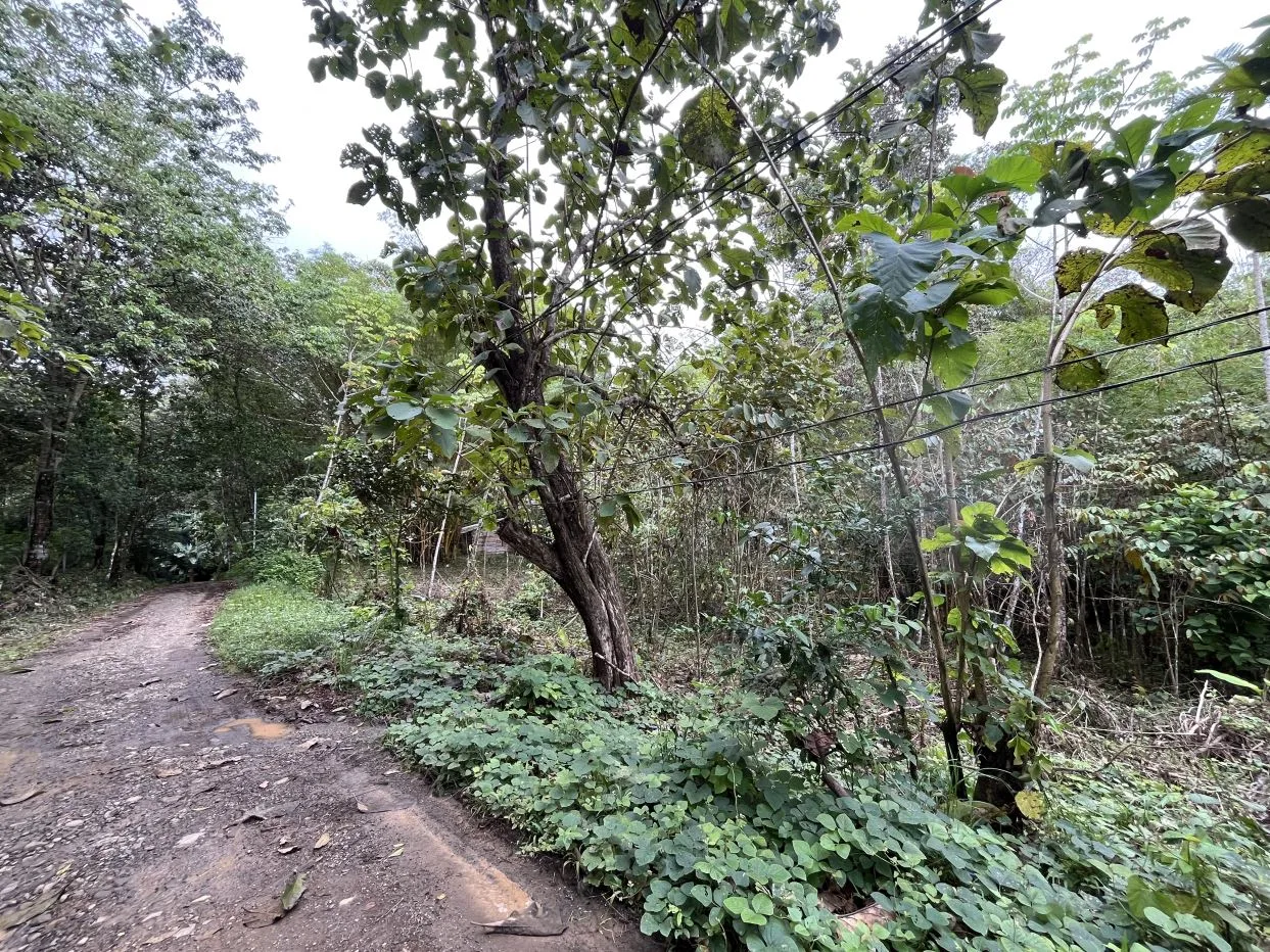 2.5 Acres near the beach Playa Linda, Quepos – Perfect for Your Dream Home or Vacation Rentals!