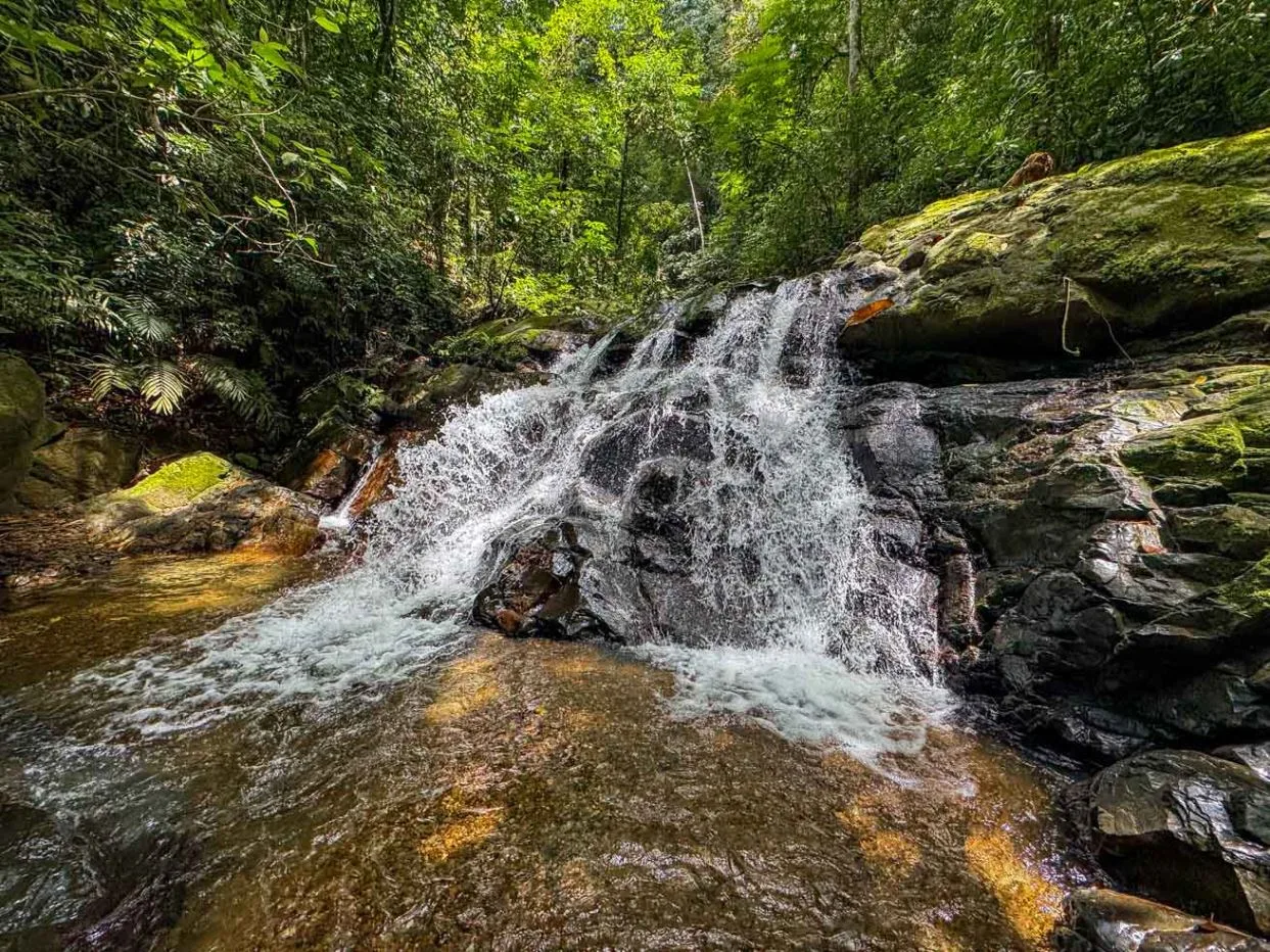 23.5-Acre Riverfront Farm Near Ojochal with Waterfall &amp; Permaculture Potential