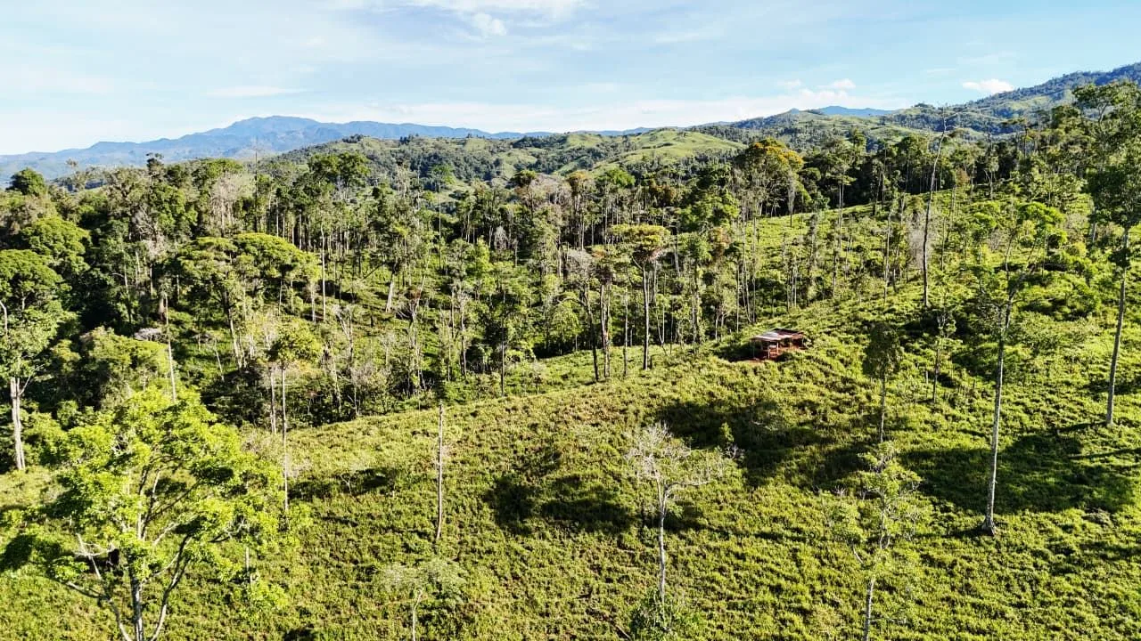 For Sale: The Crown Jewel of Santa Elena Hills – Lot 8 16 Hectares of Elevated Luxury, Supreme Views, and Pure Nature. — photo 2