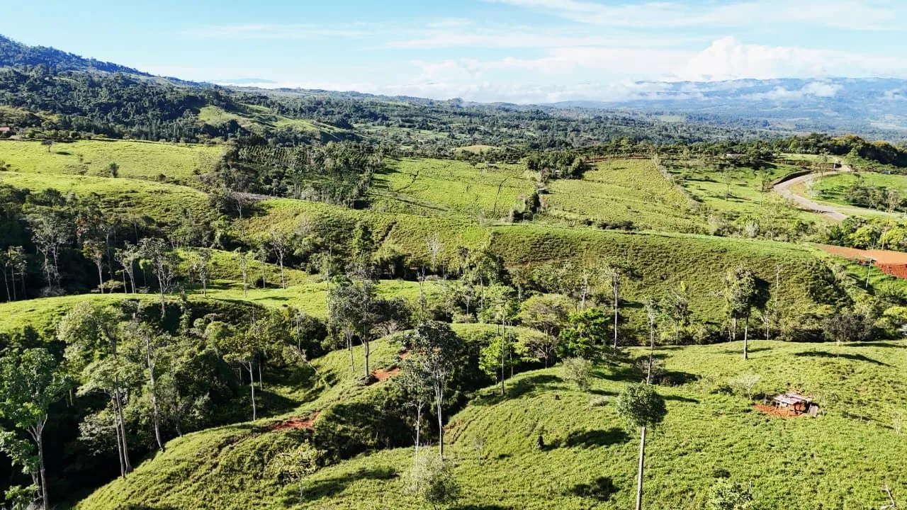 For Sale: The Crown Jewel of Santa Elena Hills – Lot 8 16 Hectares of Elevated Luxury, Supreme Views, and Pure Nature. — photo 3