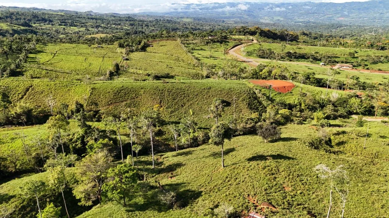 For Sale: The Crown Jewel of Santa Elena Hills – Lot 8 16 Hectares of Elevated Luxury, Supreme Views, and Pure Nature. — photo 4