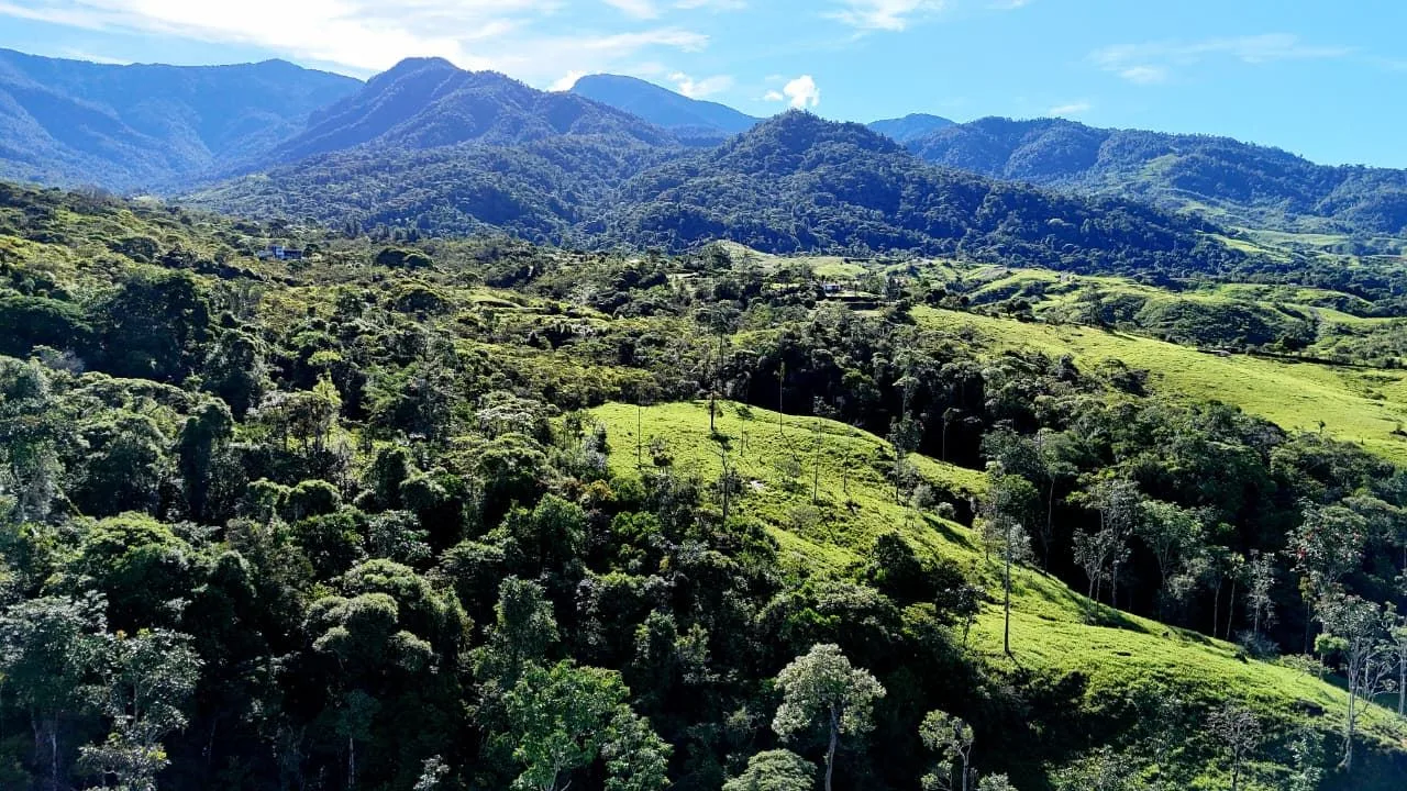 For Sale: The Crown Jewel of Santa Elena Hills – Lot 8 16 Hectares of Elevated Luxury, Supreme Views, and Pure Nature. — photo 5