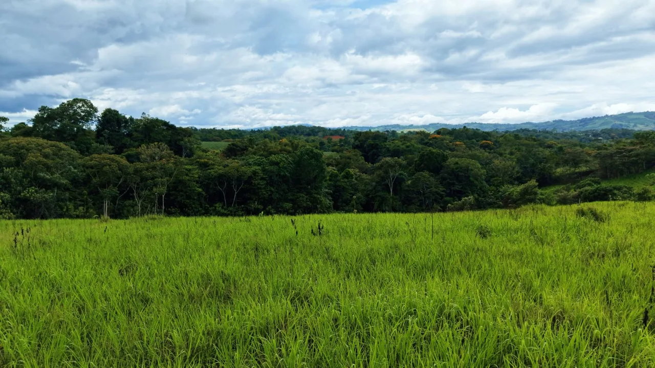 For Sale: 7,000 m² Prime View Lot in Santa Cecilia, San Pedro – The Ultimate Mountain Escape — photo 4