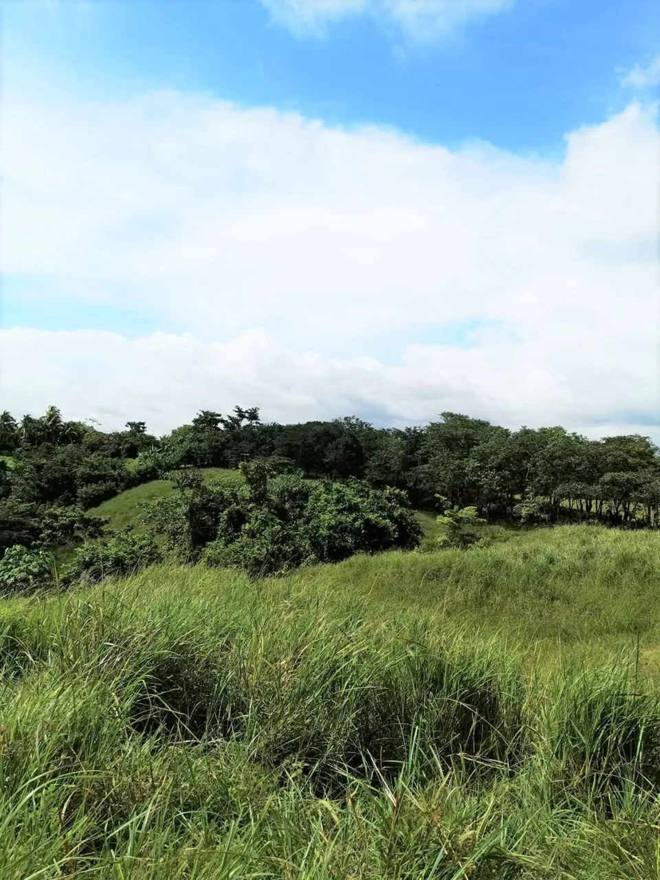 3 Beautiful Lots in a Private Area and Close to Santa Teresa.