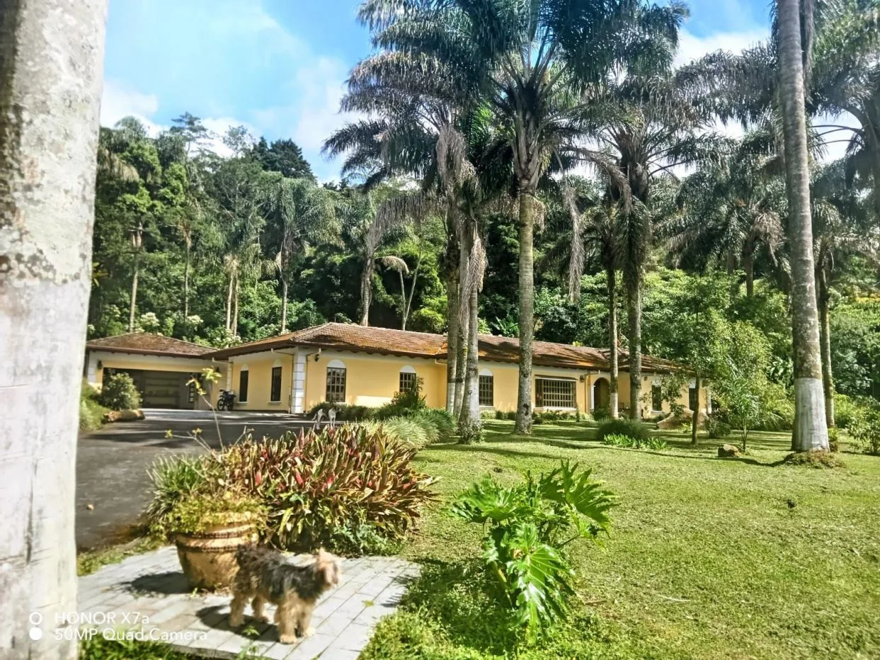 The Perfect Retreat: Elegance and Legacy in the Heart of Grecia