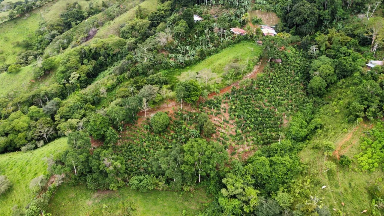 Dream Views Property For Sale In Platanares Hills — photo 3