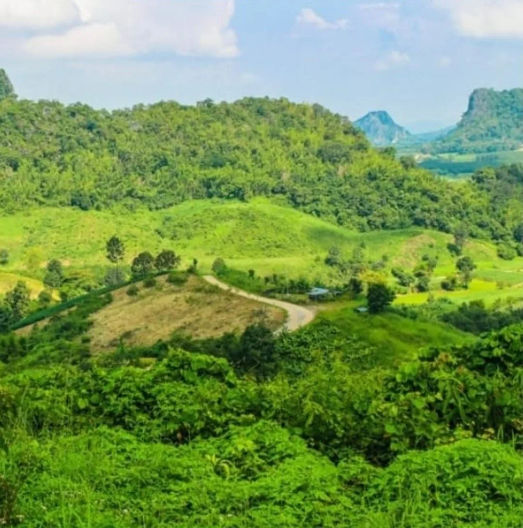 Expansive 37,000m² Farm Near La Fortuna – Stunning Arenal Volcano Views!