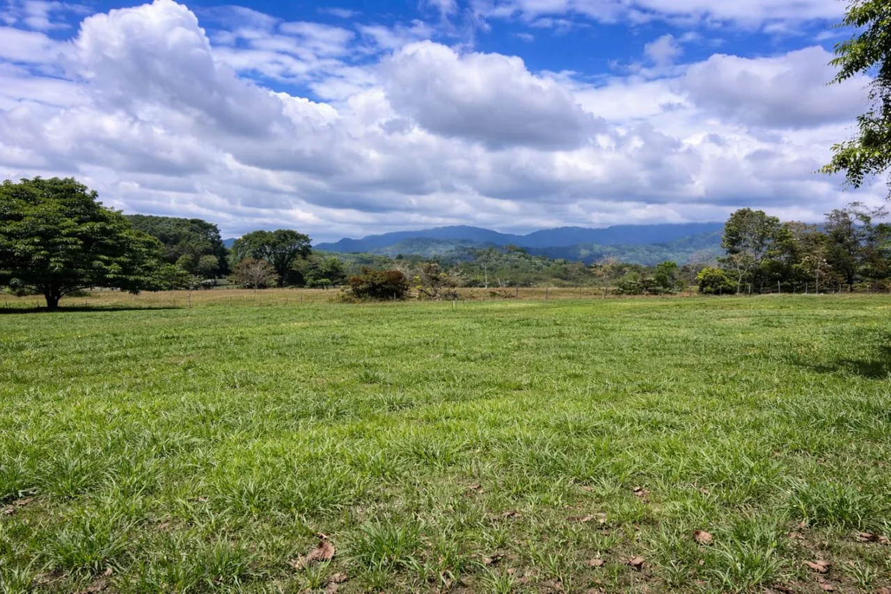 Prime Flat 4.4-Acre Development Property Near Marina Pez Vela &amp; Manuel Antonio with Easy Paved Access