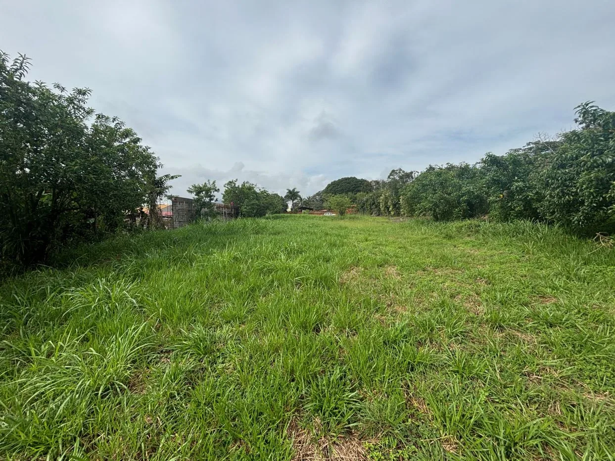 All usable almost 1 acre lot in exclusive Atenas area