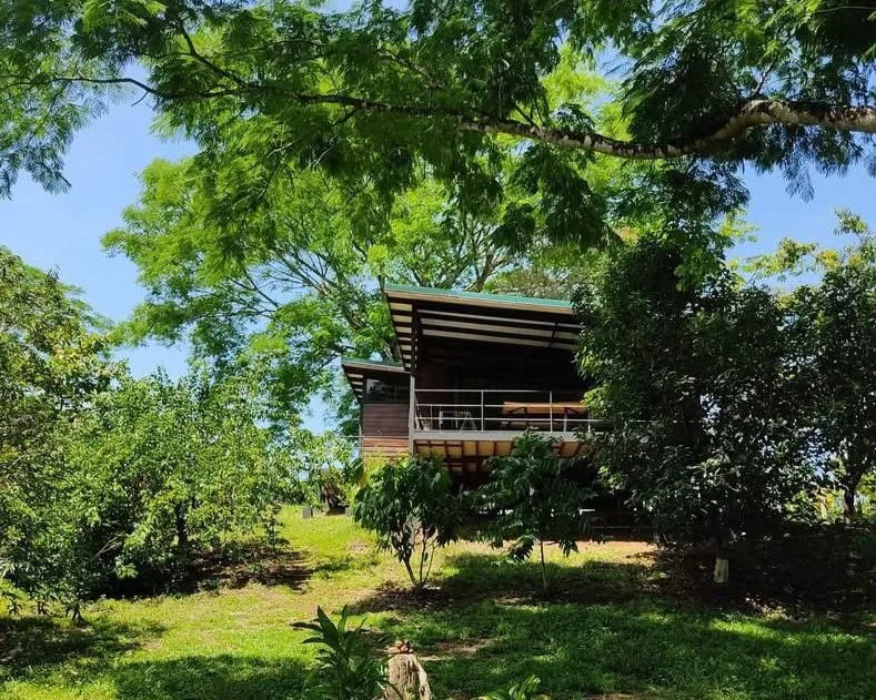Mountain Property for Sale in Turrubares