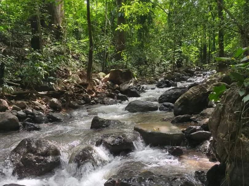 Mountain Property for Sale in Turrubares — photo 3