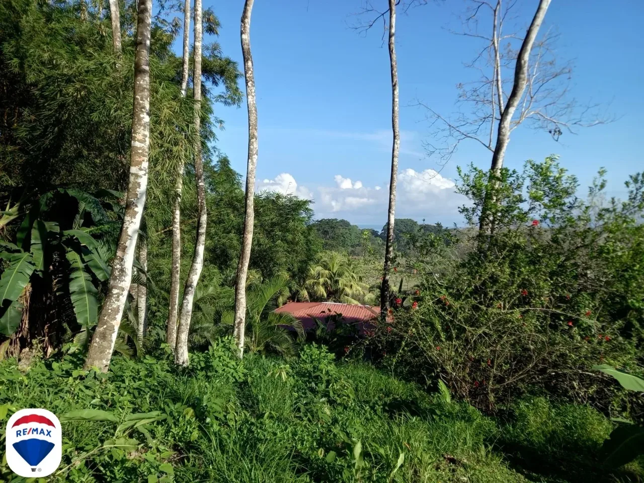 Ocean view Lot in Cocal Amarillo