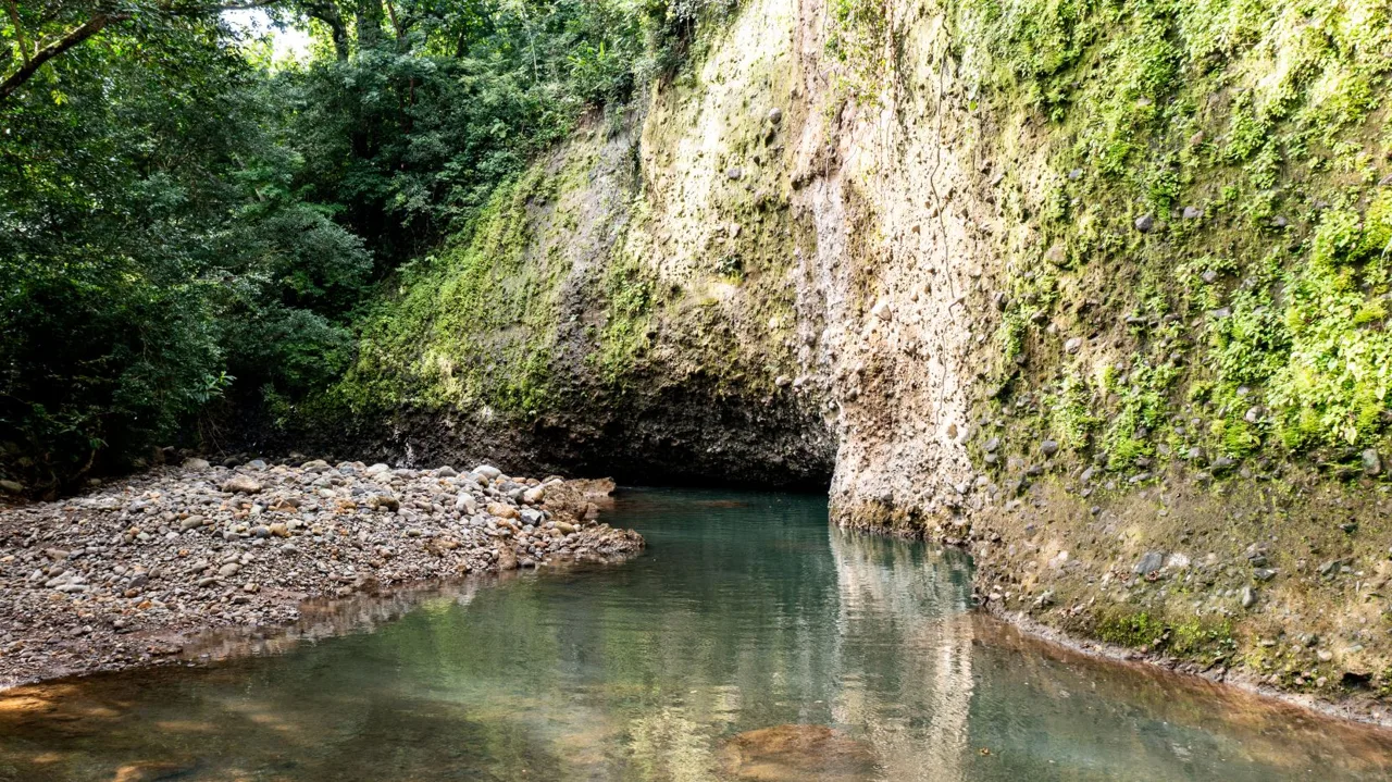 Property with views, river, forest, mango plantation and potential to develop any project.