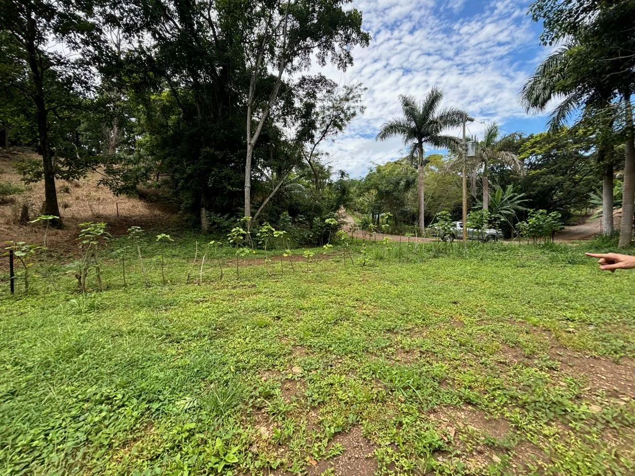 New premier lots in the private community of Las Rocas