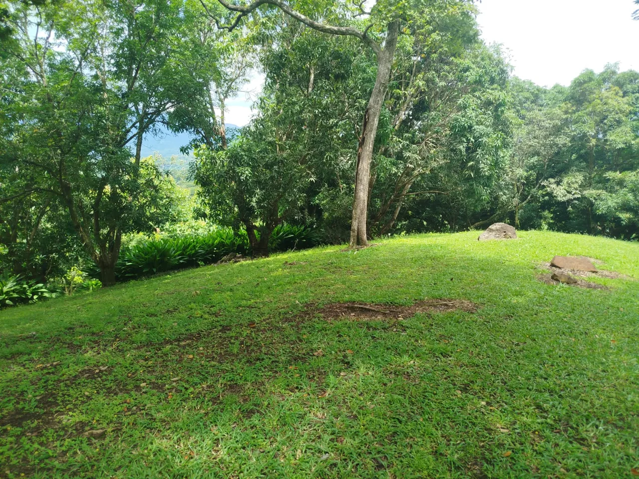 For Sale: 60,634 m² Development Property in Mastate, Orotina – Residential, Commercial &amp; Hotel Zoning