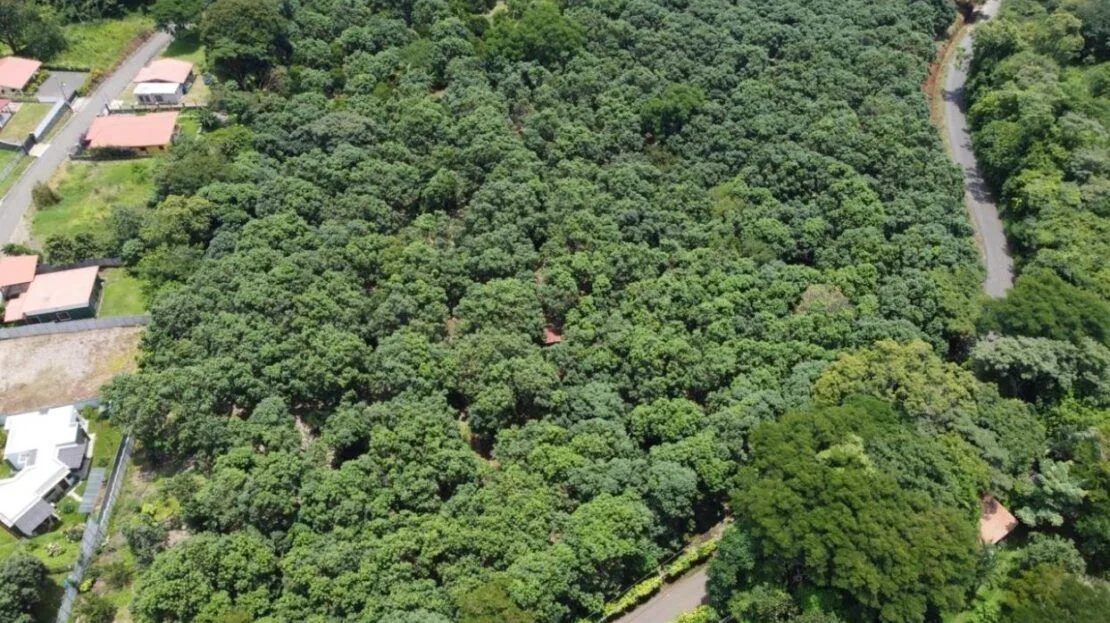 1,000m2 with fruit trees ideal for future home plot.