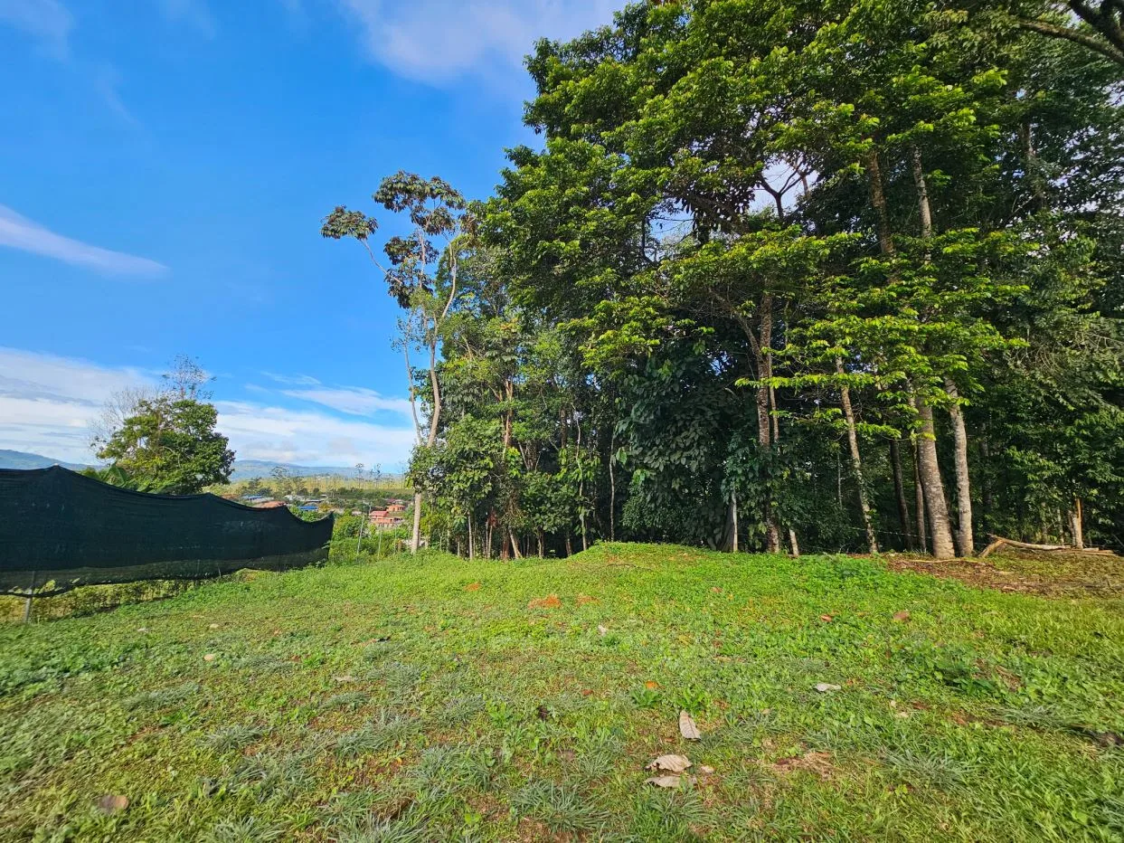 Investment Lot for Sale in La Bonita, Perez Zeledon, Costa Rica