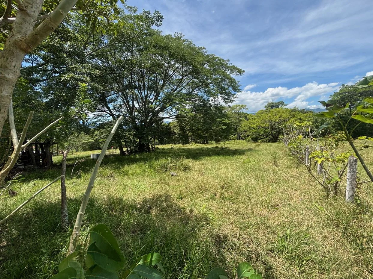 Lot in area close to the 27 and town center in the Atenas countryside