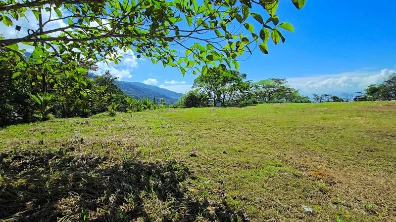 BEAUTIFUL LOT FOR SALE IN VISTAS DEL CHIRRIPO, PEREZ ZELEDON (3.5 ACRES) — photo 5