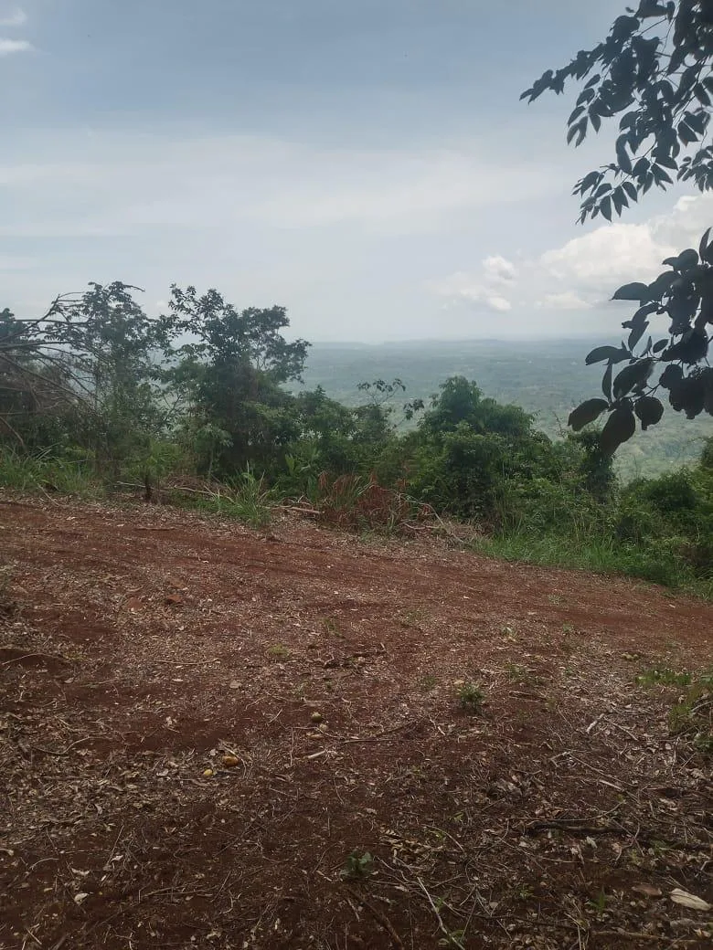🌿 For Sale: Majestic 175-Hectare Property in San Juan de Mata, Turrubares 🌿 — photo 2