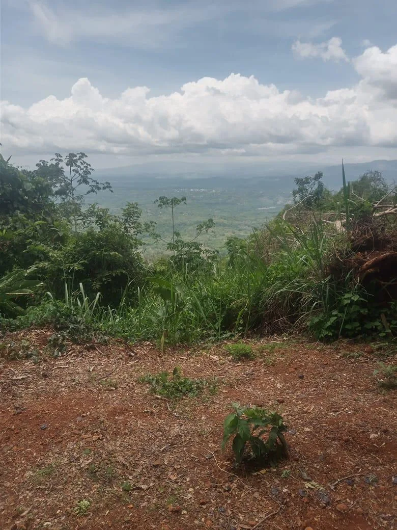 🌿 For Sale: Majestic 175-Hectare Property in San Juan de Mata, Turrubares 🌿 — photo 3