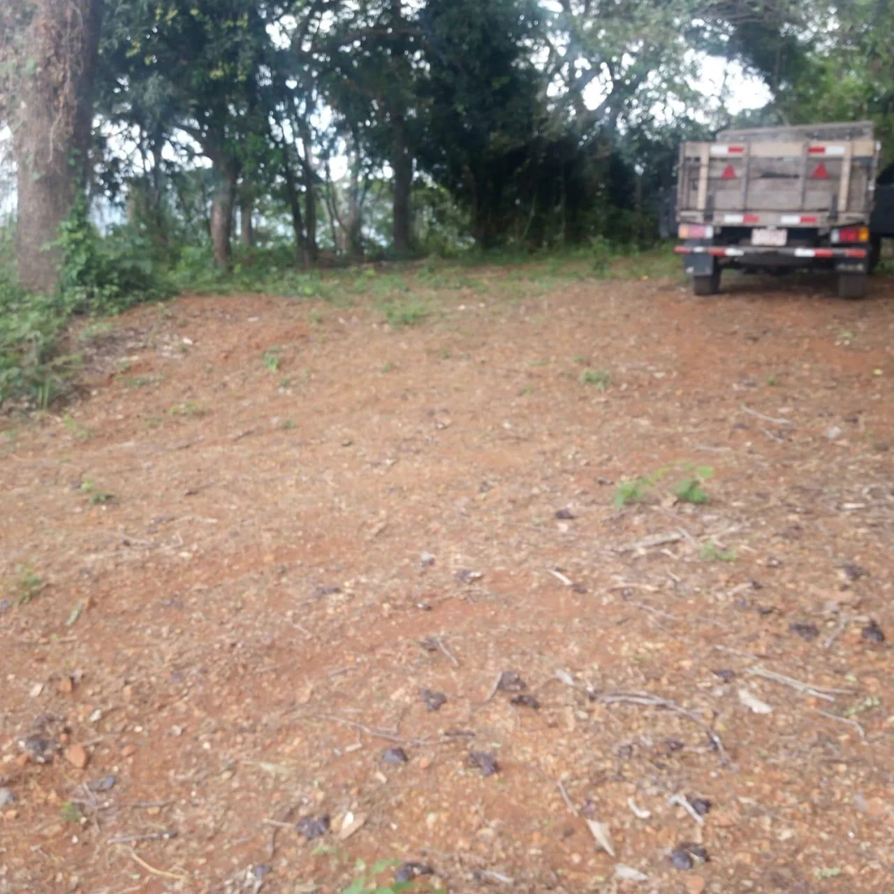 🌿 For Sale: Majestic 175-Hectare Property in San Juan de Mata, Turrubares 🌿 — photo 5