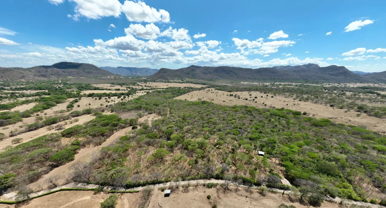 Flat 9.4 Hectare Property with Cacao Plantation &amp; Public Road Frontage – Nicoya, Guanacaste
