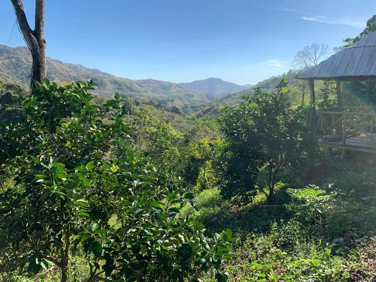 5.4ha Farm with Orange Trees, Creek, and Historic Wooden House – Nandayure Mountains