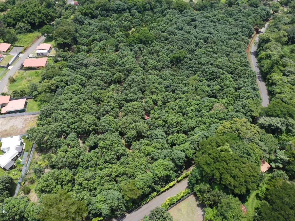 13,000m2 with a large number of fruit trees ideal for development or private farm