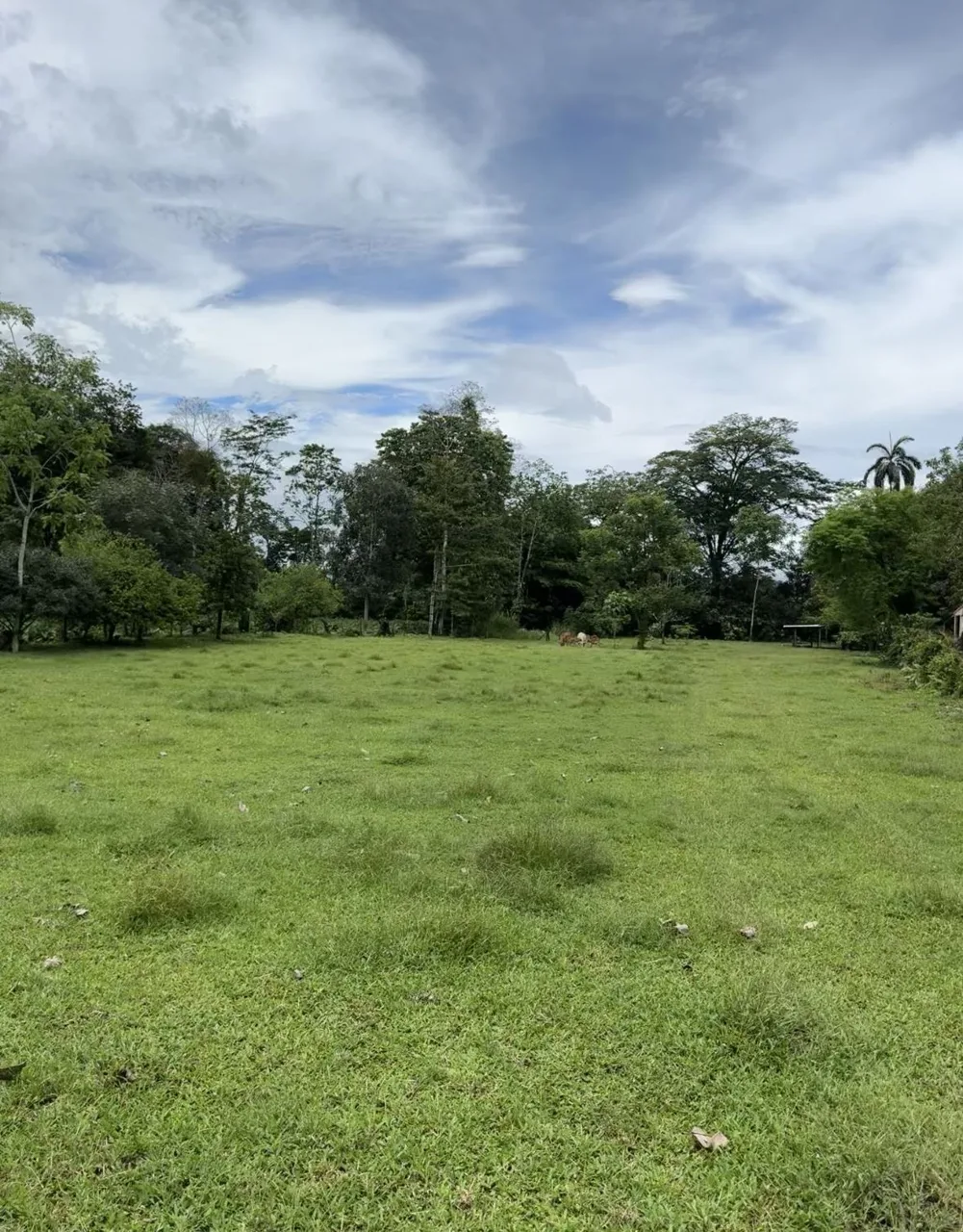 Riverside Land Just 5 Miles from La Fortuna – 6,284 m²