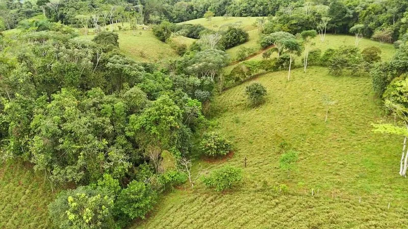 BEAUTIFUL LAND FOR SALE IN THE HEART OF SAN FRANCISCO DE CAJON, 96 ACRES