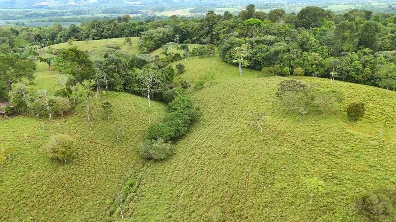 BEAUTIFUL LAND FOR SALE IN THE HEART OF SAN FRANCISCO DE CAJON, 96 ACRES — photo 2