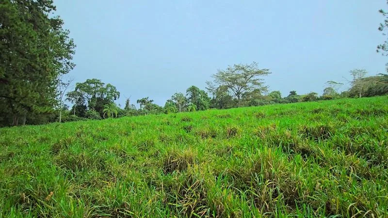 BEAUTIFUL LAND FOR SALE IN THE HEART OF SAN FRANCISCO DE CAJON, 96 ACRES — photo 4
