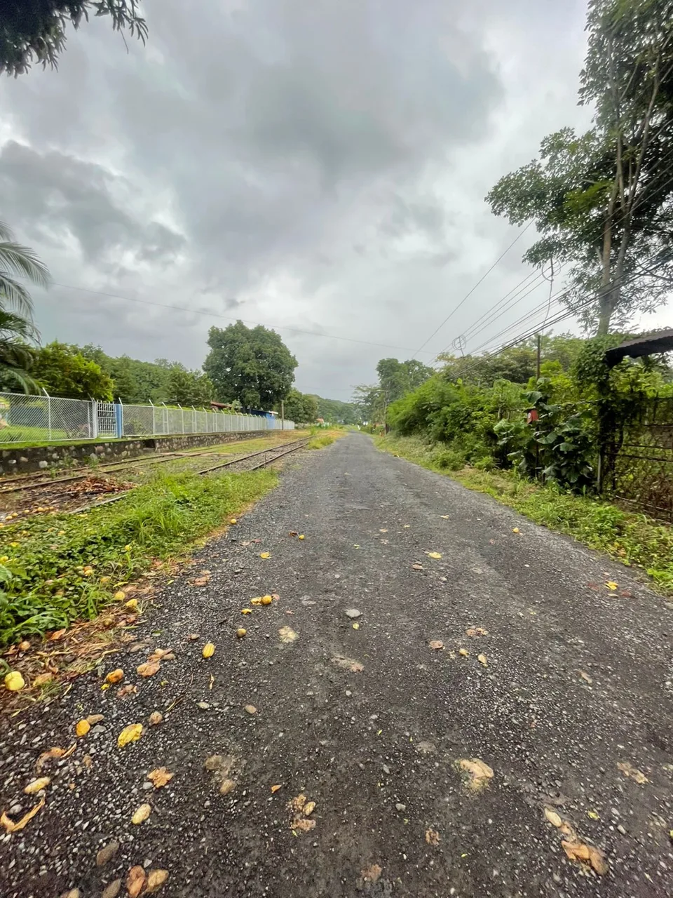 🌿 Great Opportunity in Hacienda Vieja! 9,700 m² Lot for Sale 🌿
