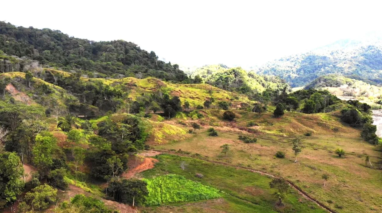 Stunning Tropical Farm with Development Potential in Costa Rica – Finca Paraiso
