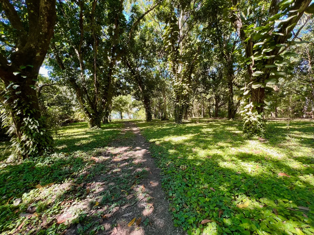 Impressive Residential Beachfront Lot - Mal Pais