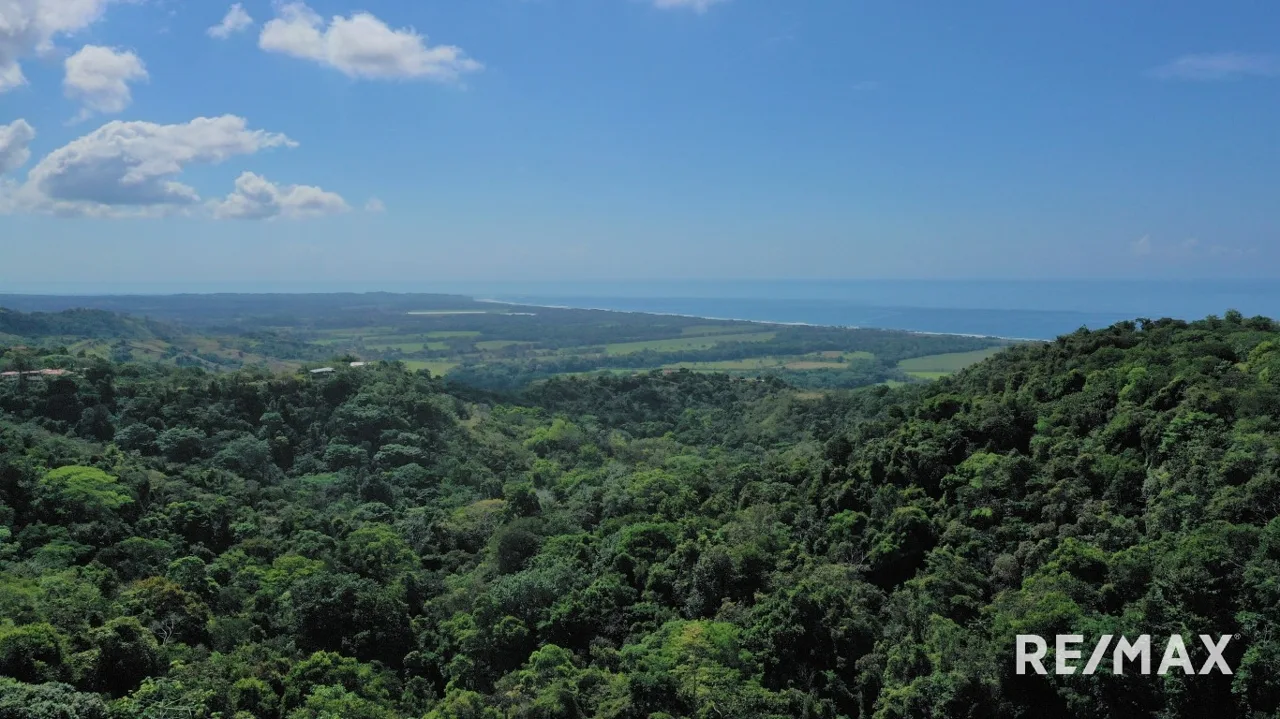 OceanView Building Lot / Hermosa