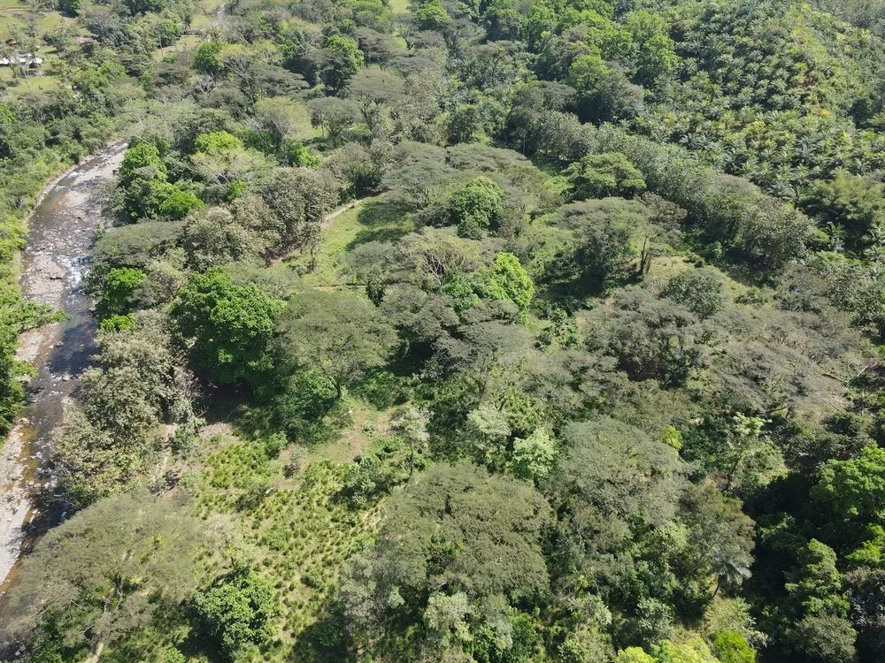 Prime Land Opportunity – Peaceful Jungle Sanctuary Surrounded by Wildlife