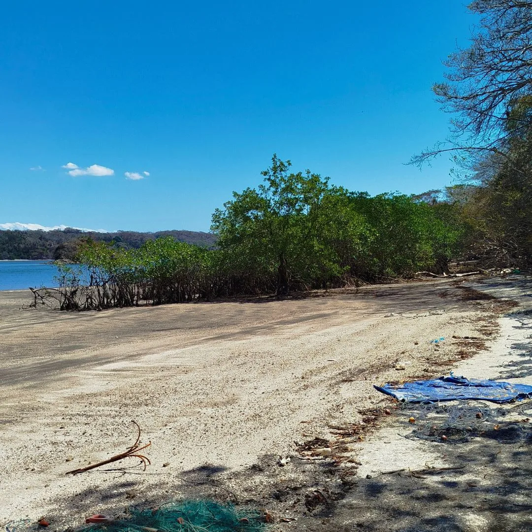 Land in Playa Blanquita - 10.3 Hectares with Public Road Frontage