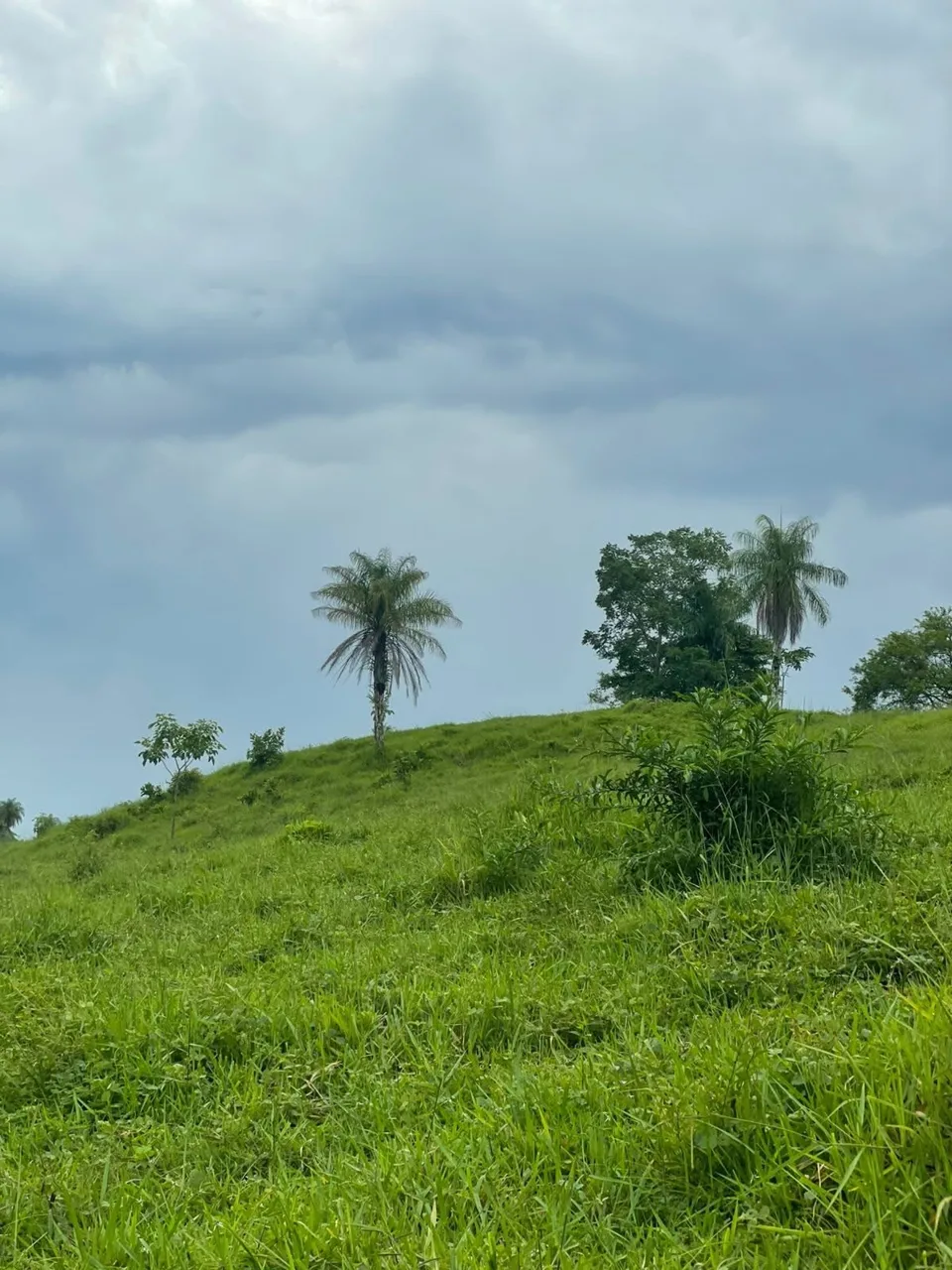 Unique Property for Sale in the Heart of Turrubares – 11 Hectares with Stunning Views 🌄 — photo 3